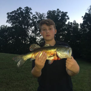 Meet your Posher, Noah hawkins